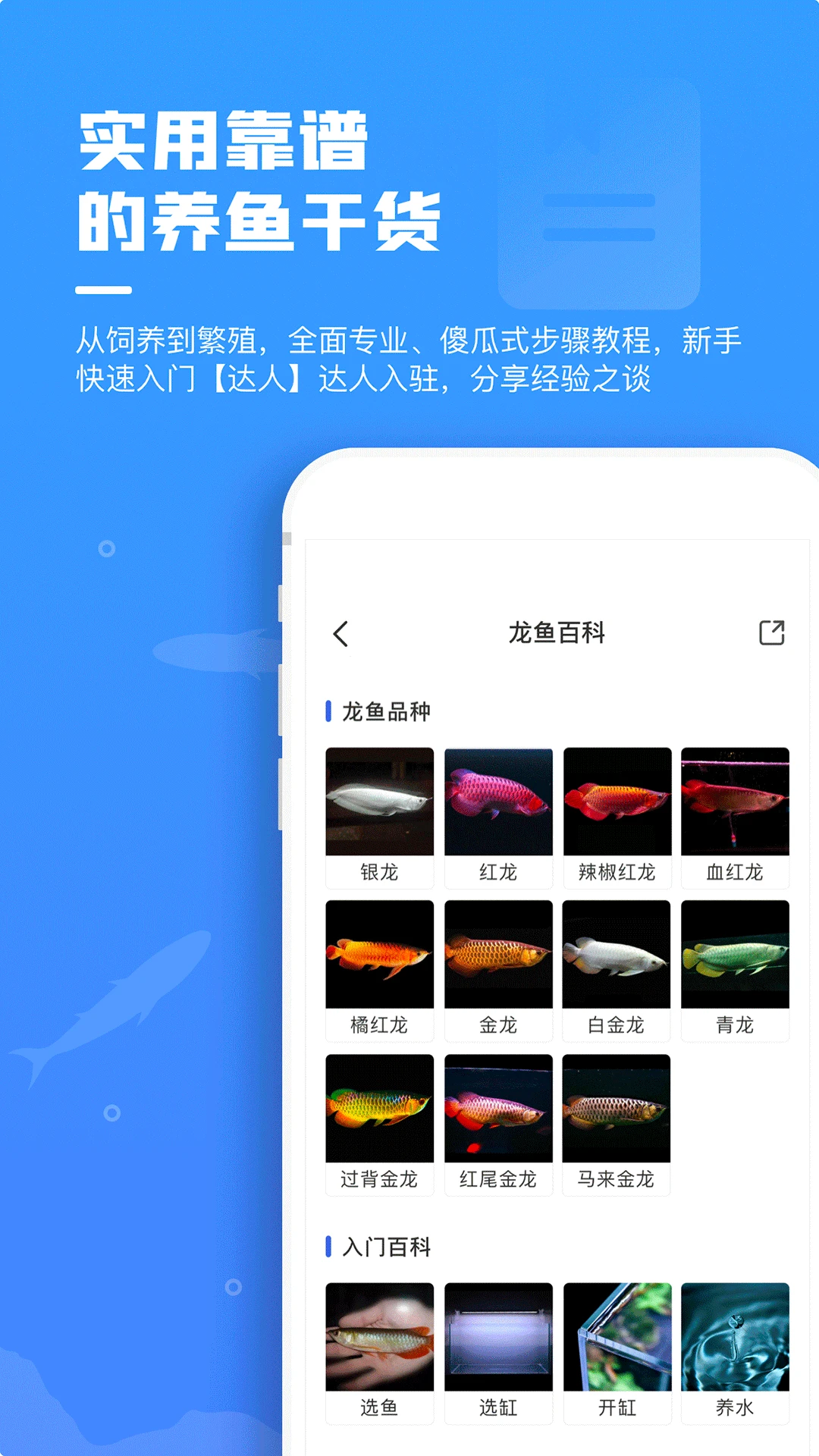 鲲天下图3