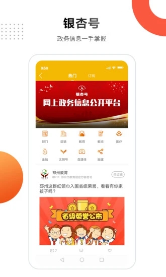 邳州银杏甲天下图2