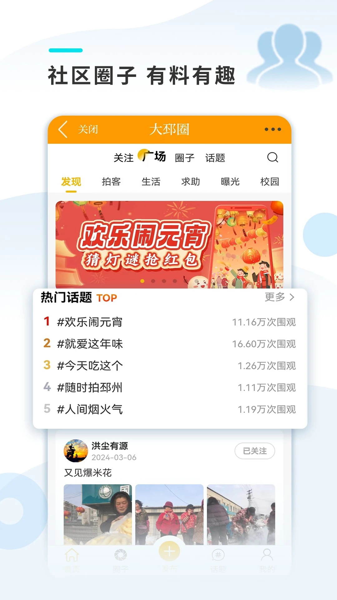 邳州银杏甲天下图4