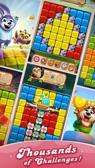 宠物益智冒险图3