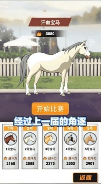金牌驯马师模拟经营游戏 安卓版v1.0.1