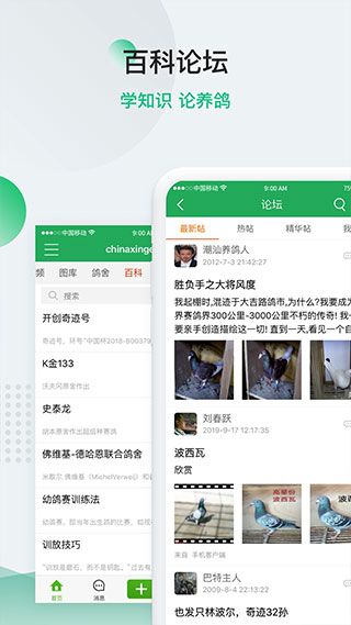 中信网-信鸽信息网图5
