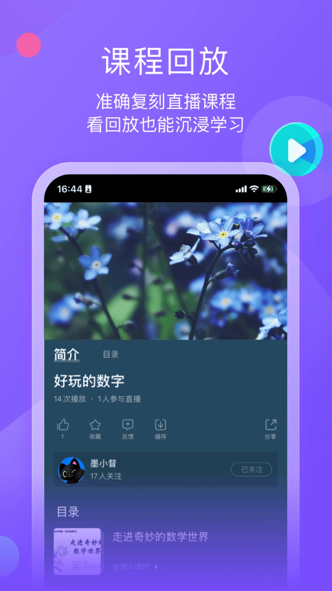 墨督督图2