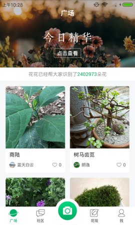 花花识花 花花识花