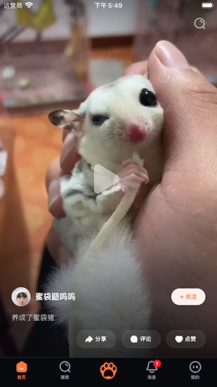 铲屎啦图1