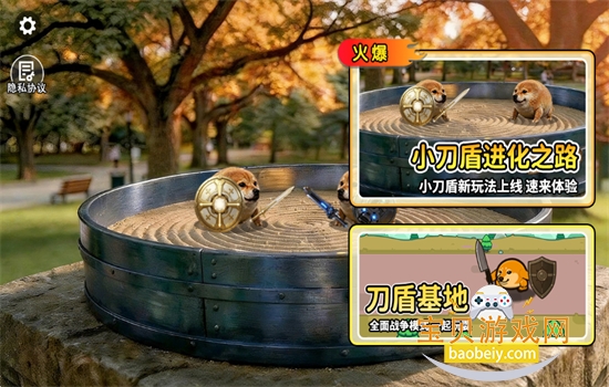 小刀盾超进化图2
