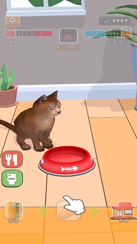 猫咪想恋爱图3