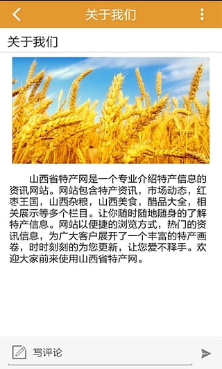 山西省特产网图3