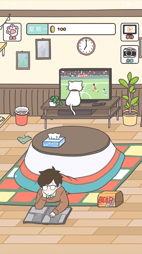 猫咪饲养日常图3