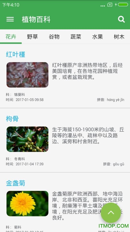 植物百科大全图5