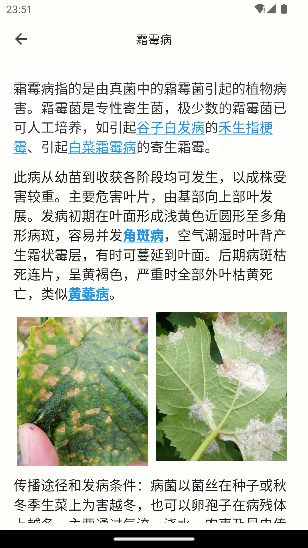 鱼菜记图4