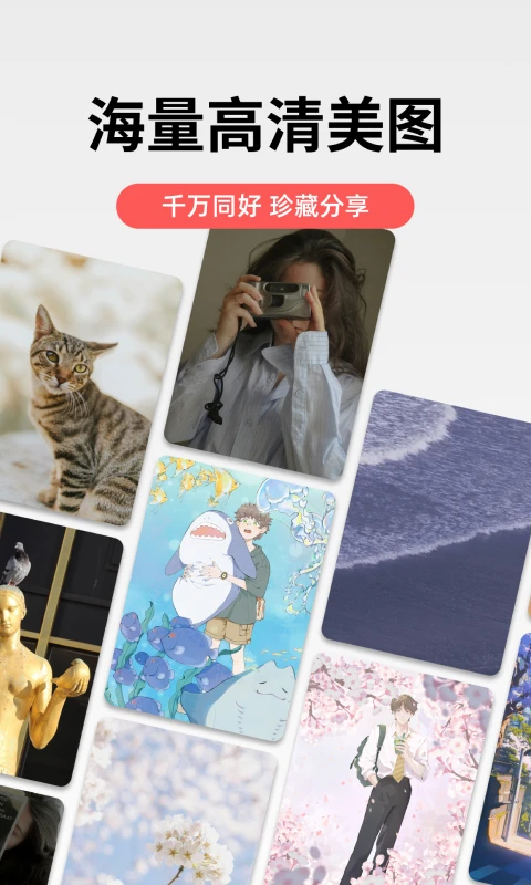 堆糖图1