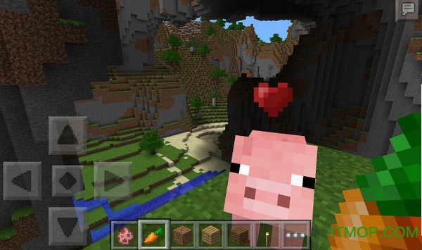 我的世界国际版苹果手机版图1