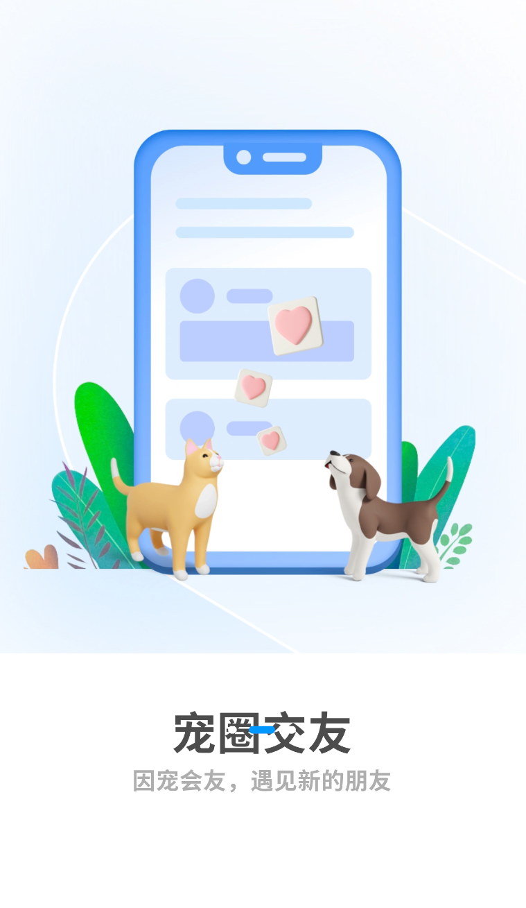 花生宠物图3
