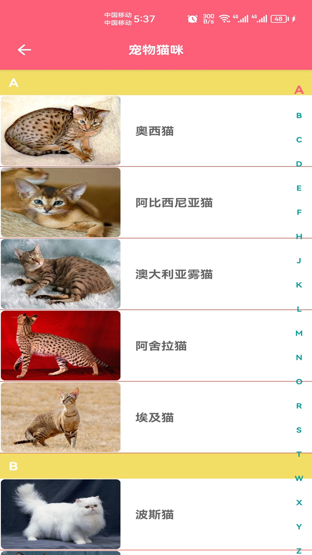 宠物宝宝大全图5