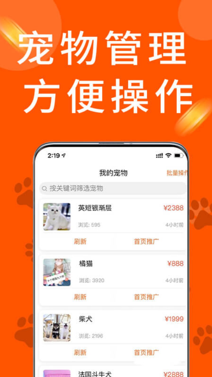 宠物市场商户版图2
