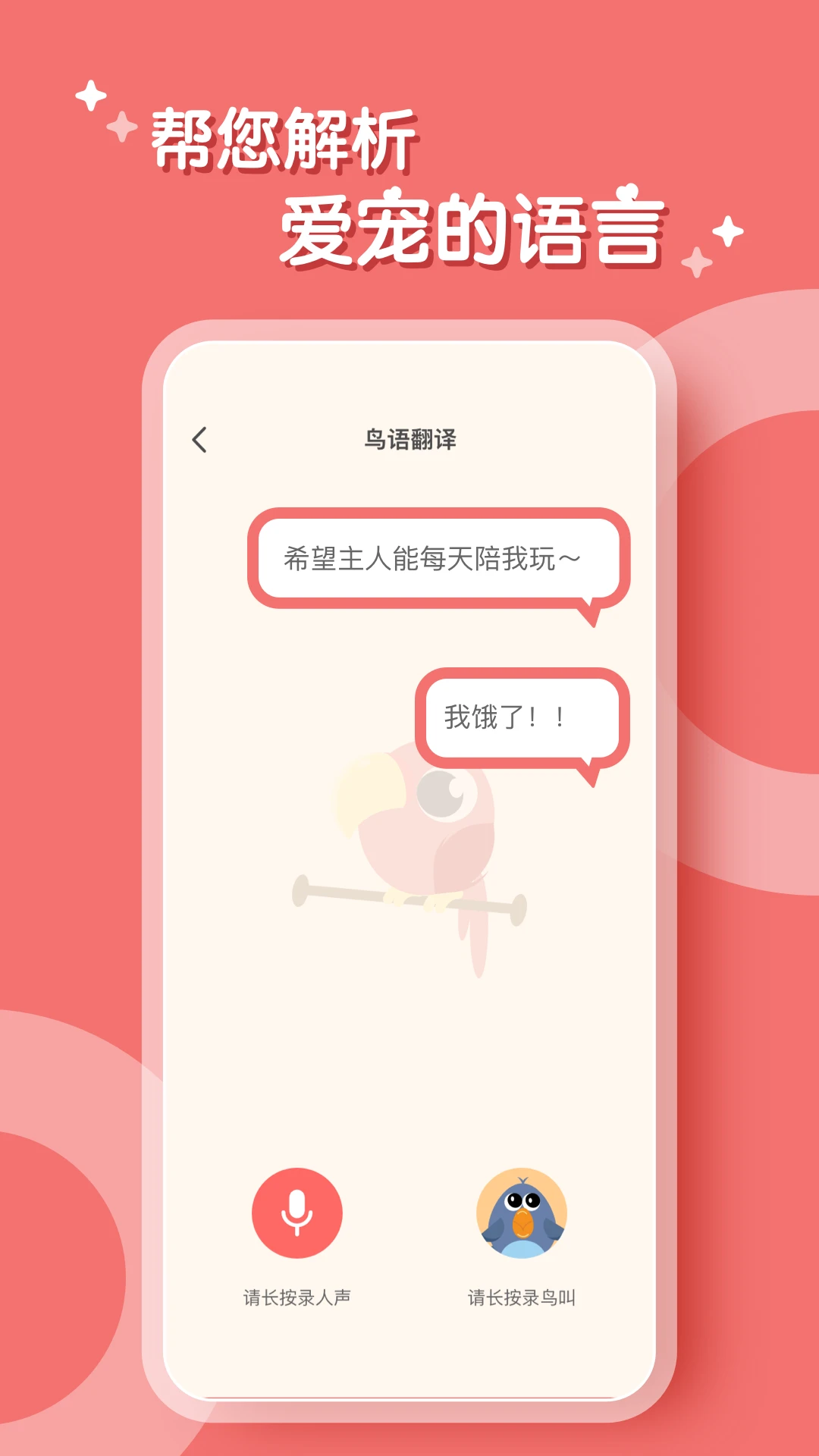 鹦鹉翻译器图4