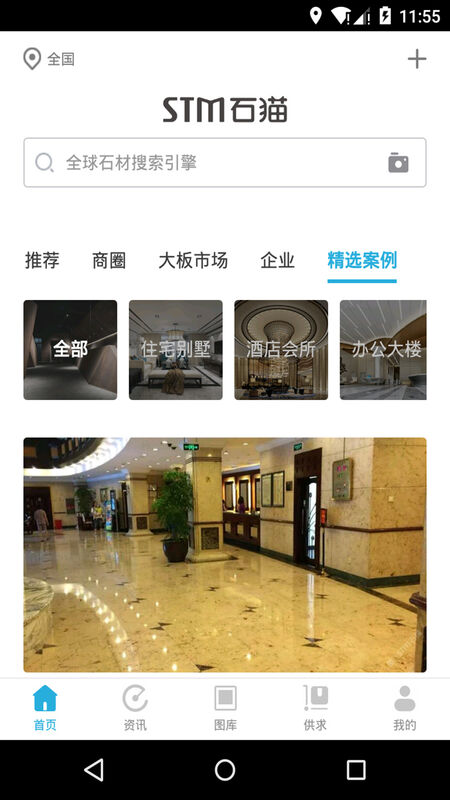 石猫图1