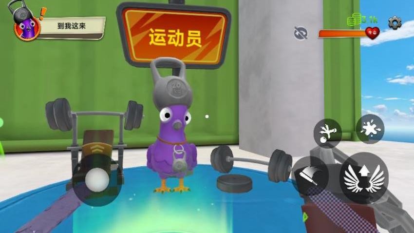 模拟鸽子图3