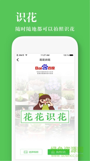 养花大全 养花大全