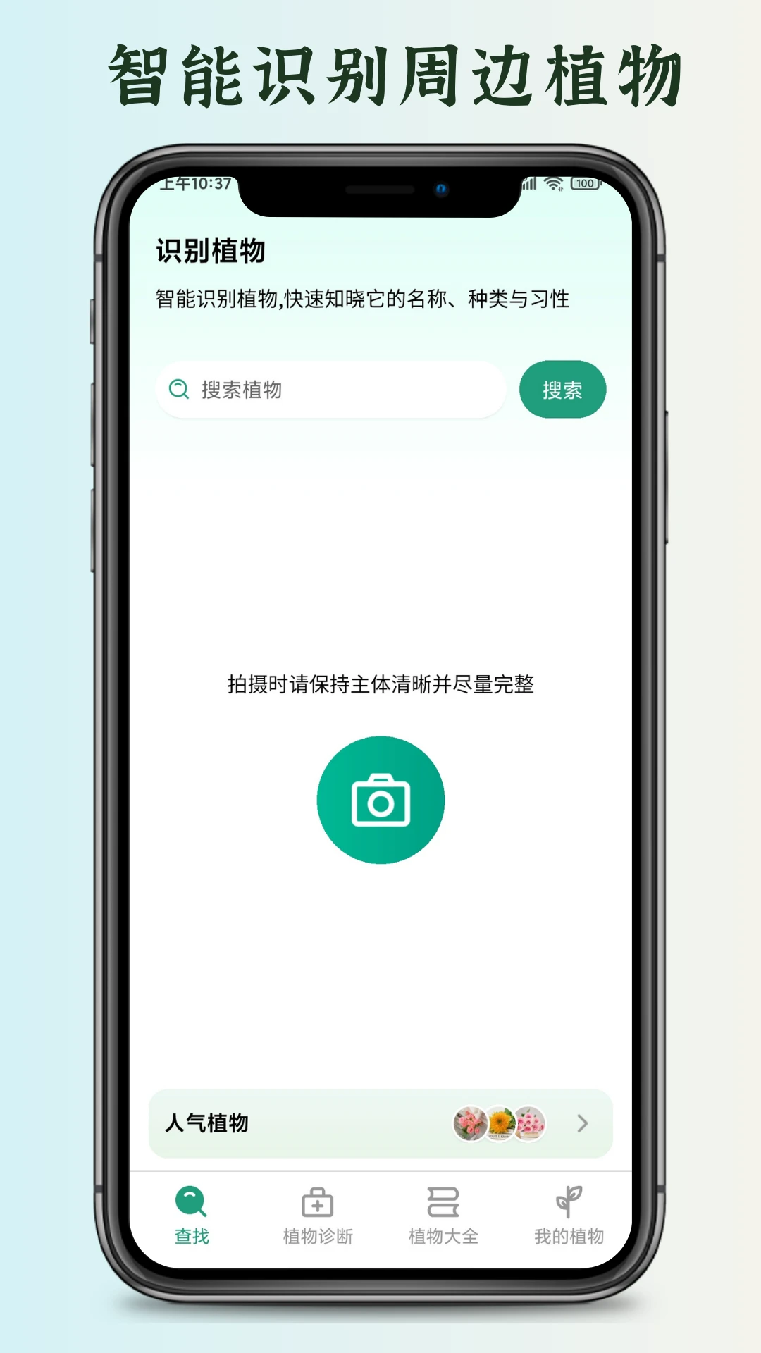 花草君图2