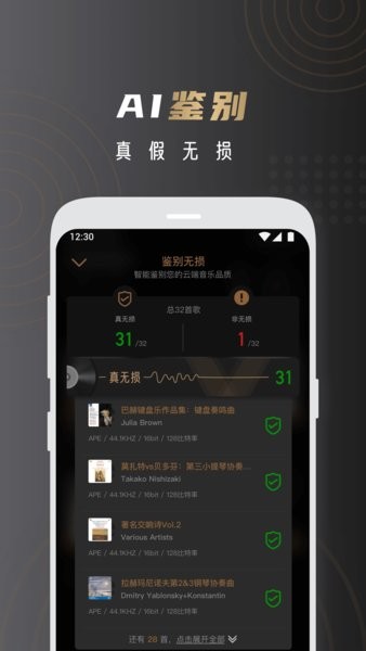 云赏HIFI图1
