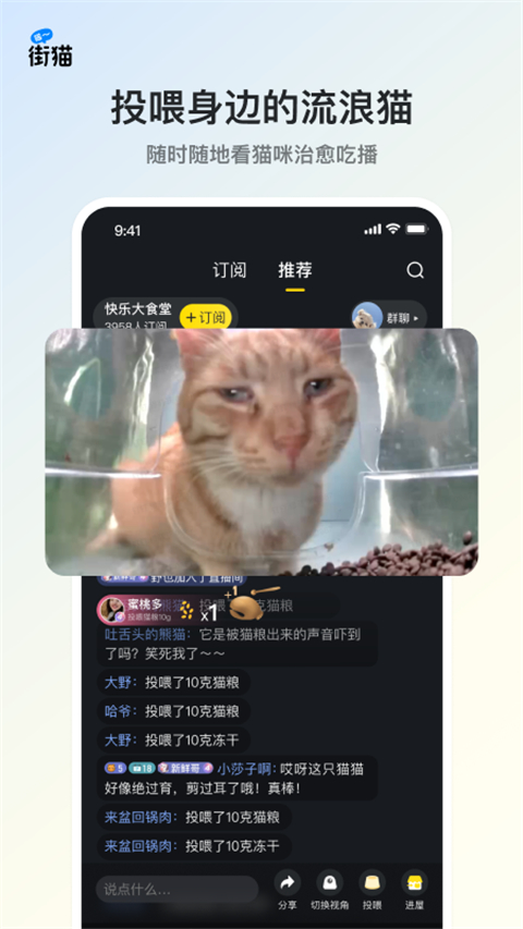街猫(流浪猫领养软件) v3.2.6 安卓版