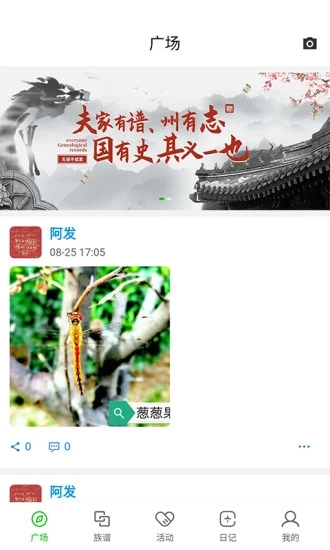 葱葱果壳图4