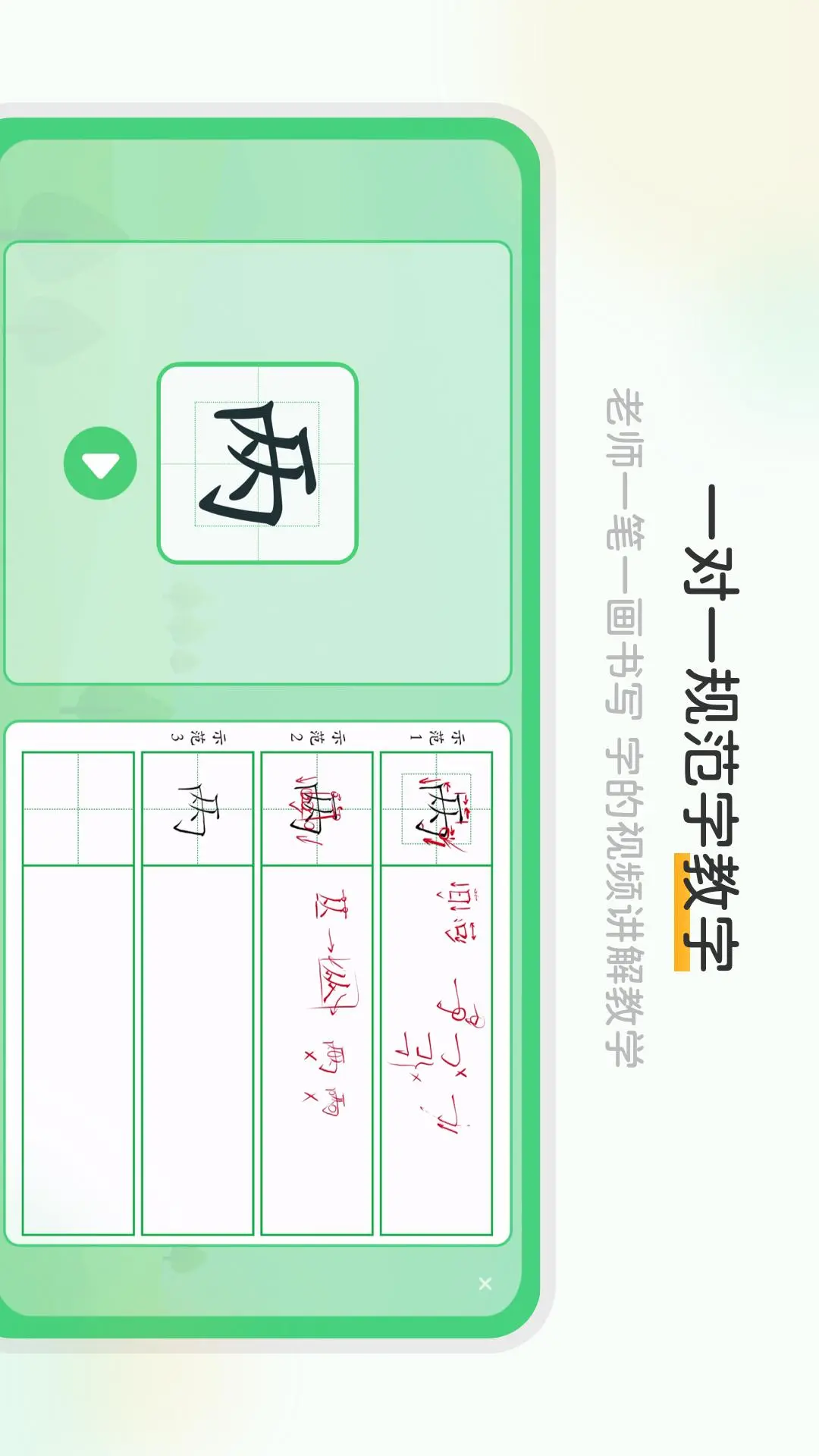 当当鸟图2