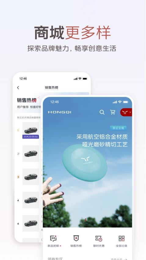 红旗智联图4