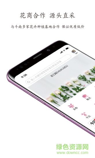 斗南花立购图4
