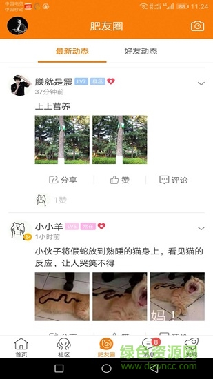 大肥城图2