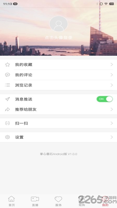 掌心磐石图1