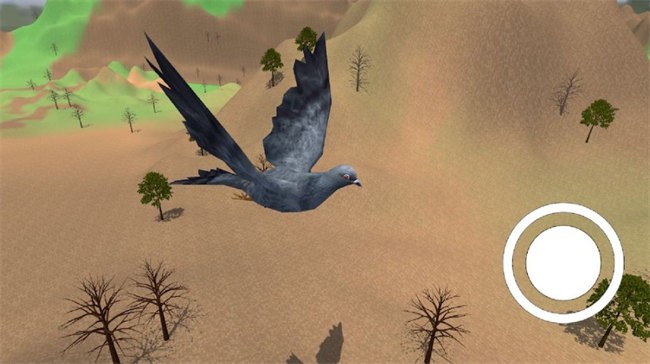 鸽子飞行模拟游戏(Pigeon bird flying sim game 3d)图3