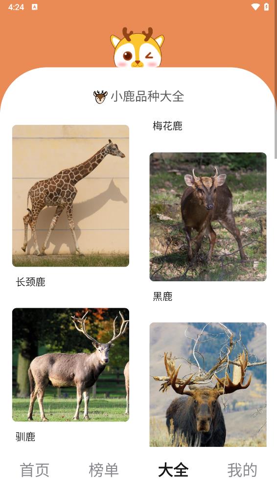 小鹿趣看图5