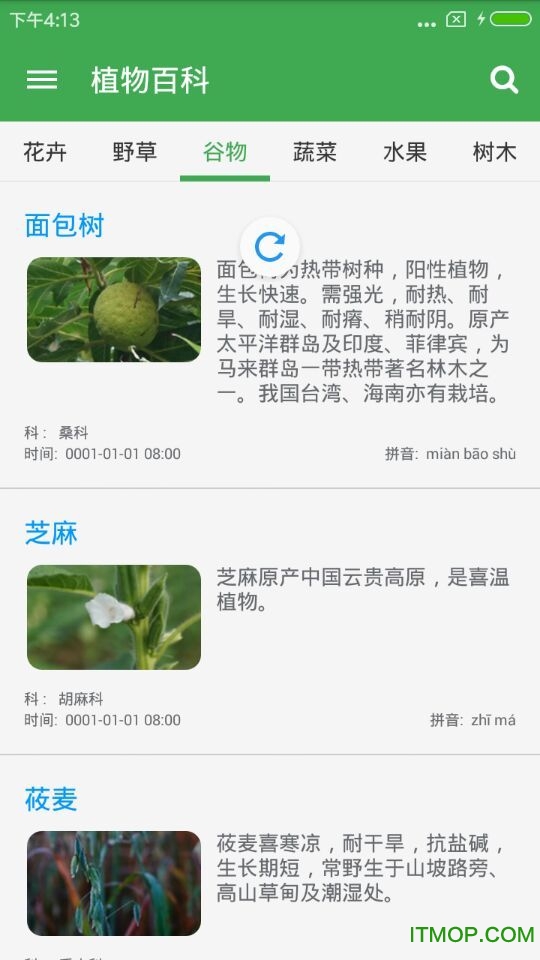 植物百科大全图2