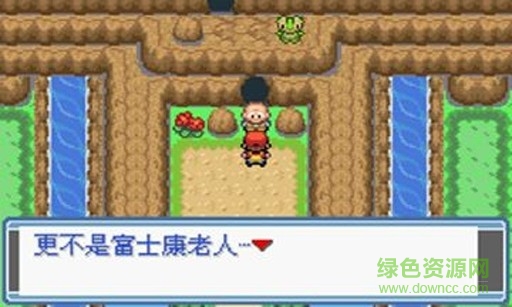 宠物小精灵2