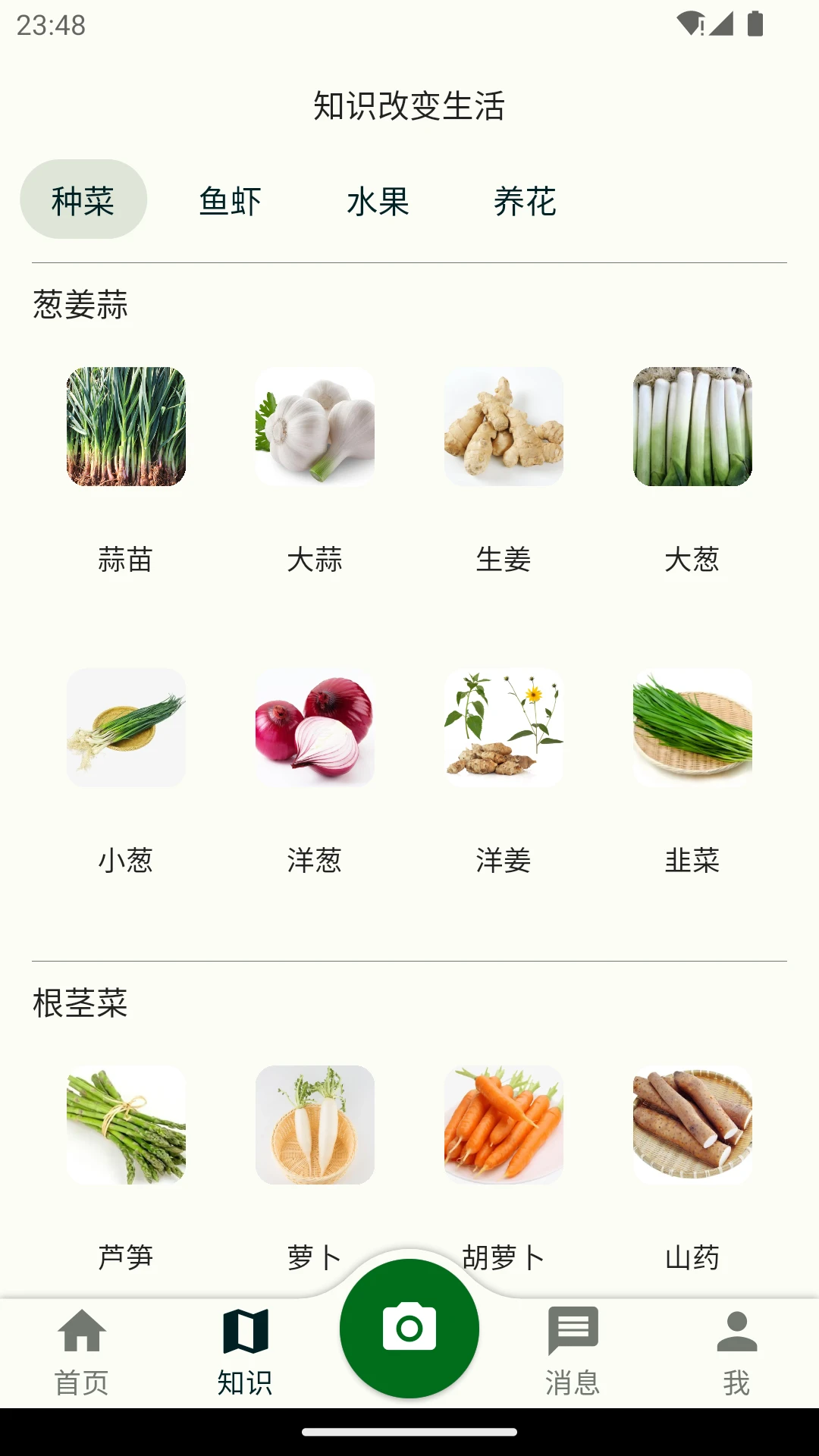 鱼菜记图2