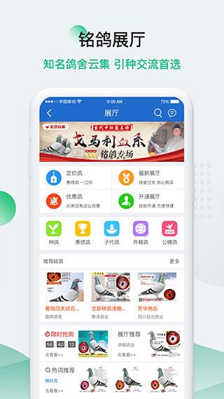中信网-信鸽信息网图3