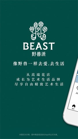 野兽派图3