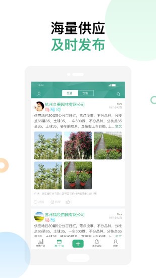 苗如意图3