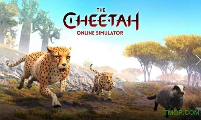 终极猎豹模拟器最新版图1