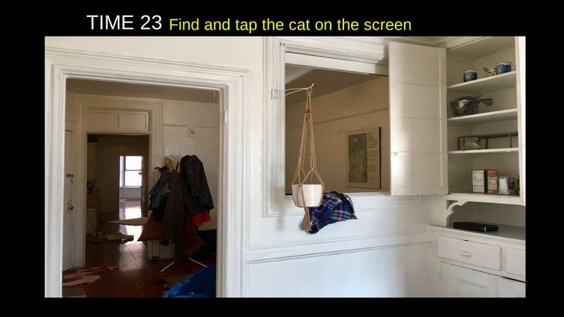 寻找隐藏猫咪图3