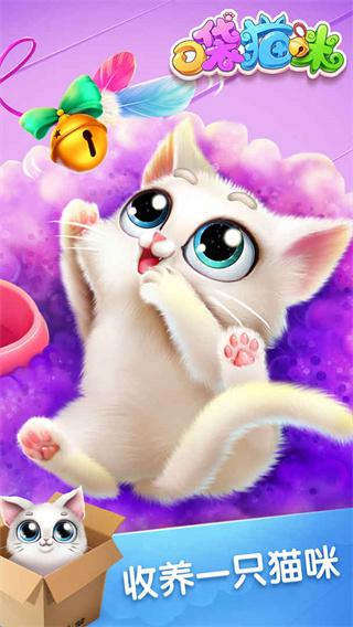 口袋猫咪图4