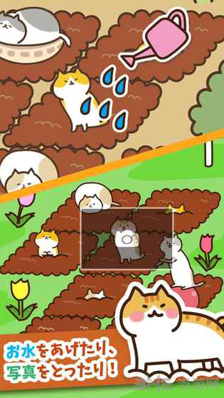 猫咪田园破解版 安卓版v2.2.2图3
