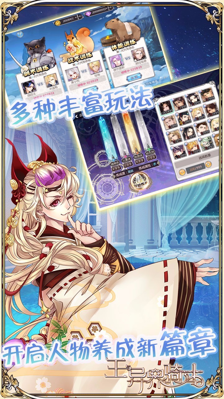 王与异界骑士图3