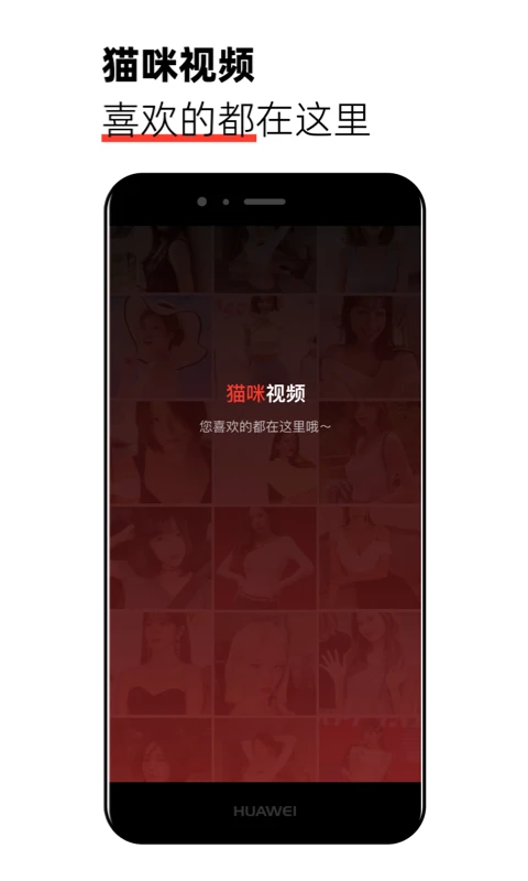 猫咪视频APP免费版图1
