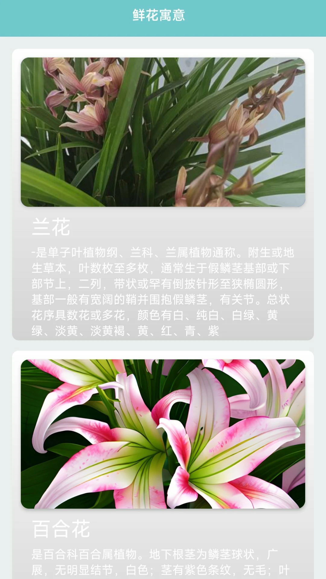 我的花店图1