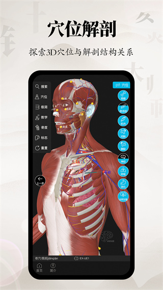 针灸大师 针灸大师