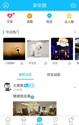 泰安网图3